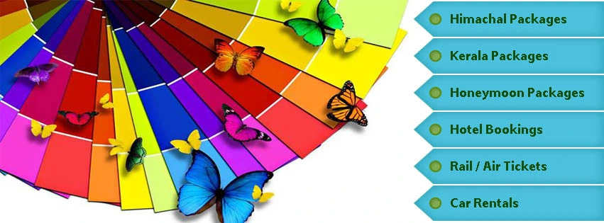 Butterfly Tours
