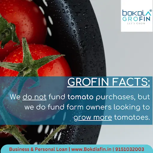 BOKDIA GROFIN LLP