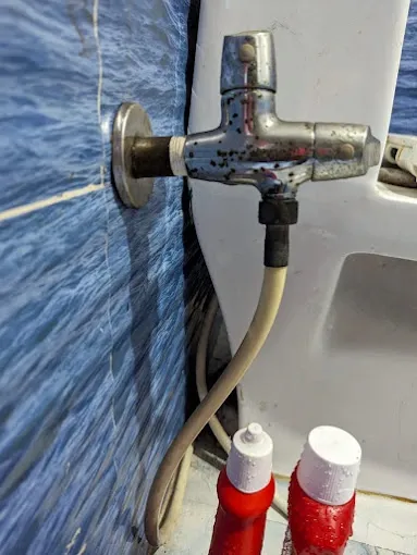 Trisha Plumber