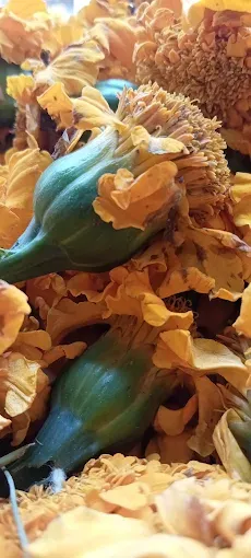 Shiv flower shop