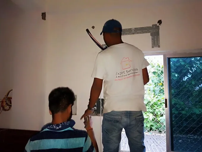 Expert Services