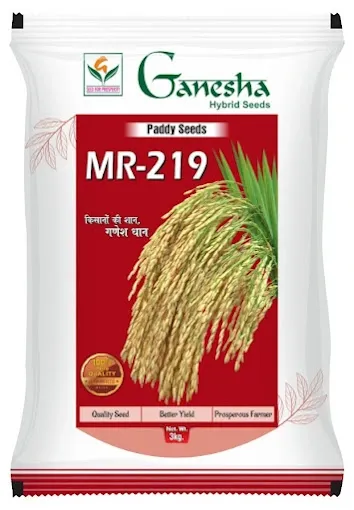 GANESHA HYBRID SEEDS