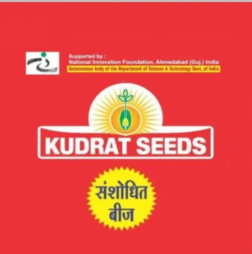 Kudrat Seeds