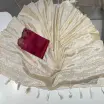 Priya Simran's