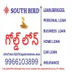 South Bird Finance